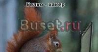 Ноутбук рабочий или неисправный Санкт-Петербург
