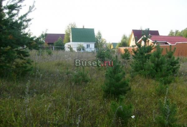 Участок в Приокско-Террасном заповеднике Москва