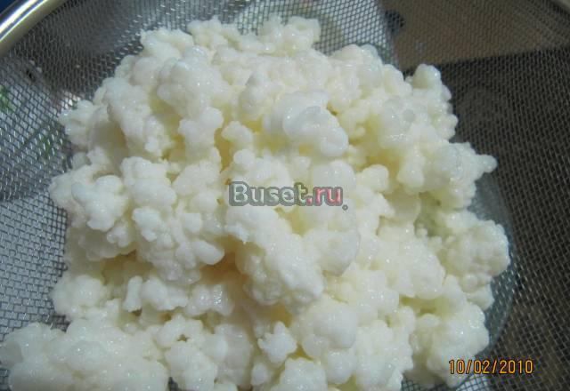 Чайный гриб,тибетский кефирный грибок Москва