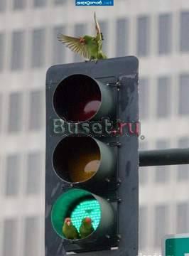 Очень удобные грузоперевозки. Вам понравится Москва