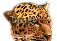 Наклейка для автомобиля Волгоград