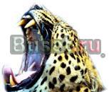 Наклейка для автомобиля Волгоград