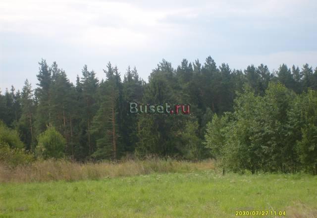 Участок в газифицированной деревне Володино Александров