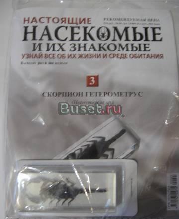 Насекомые и их знакомые N 3.Скорпион гетерометрус Москва