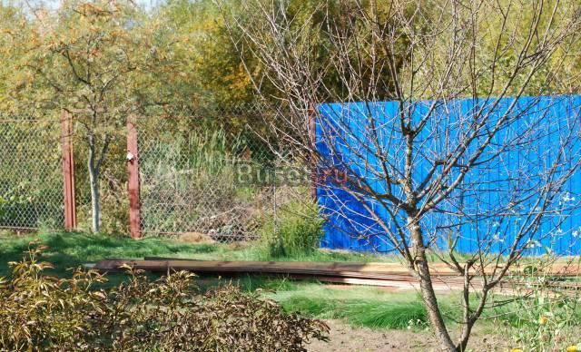 Уголок природы Москва