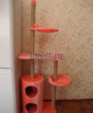 Домик для котят Москва