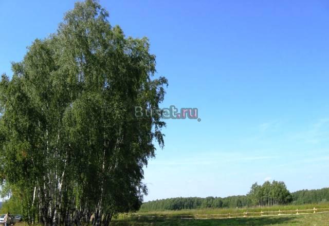 Земля 6-12 сот 10км от МКАД по Егорьевскому ш Москва