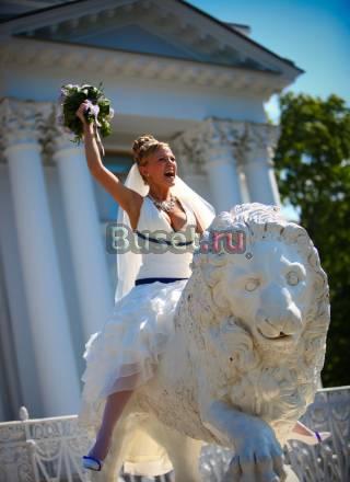 Услуги фотографов и видеооператоров Санкт-Петербург