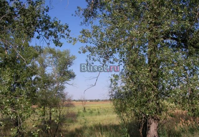 Коттеджный поселок, земельные участки с газом Волгоград