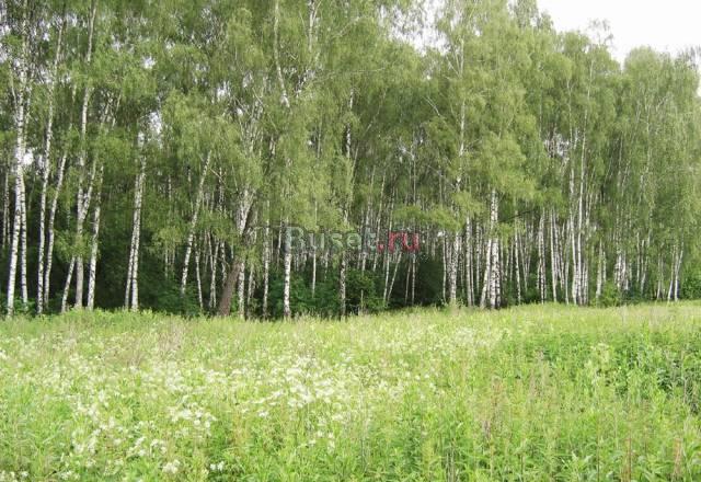 Продается  участок 17 сот. , к Москва