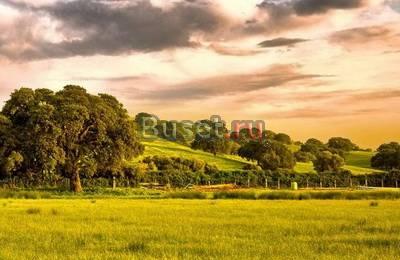 Участок, 17 соток, 150 000р, торг,от хозяина Саратов