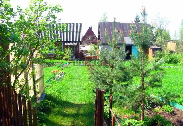 Дача в массиве дунай Санкт-Петербург
