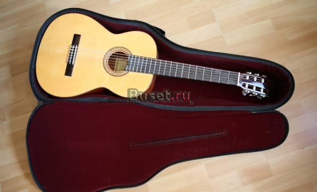 Гитара аккустическая в теплом чехле Москва