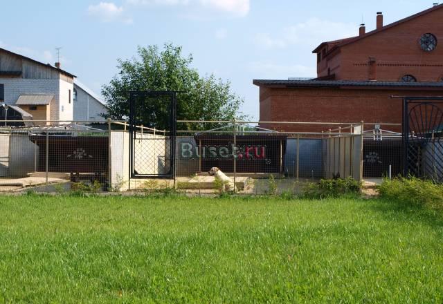 Зоогостиница Санкт-Петербург