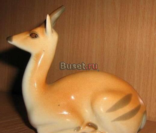 Косуля ЛФЗ Новосибирск