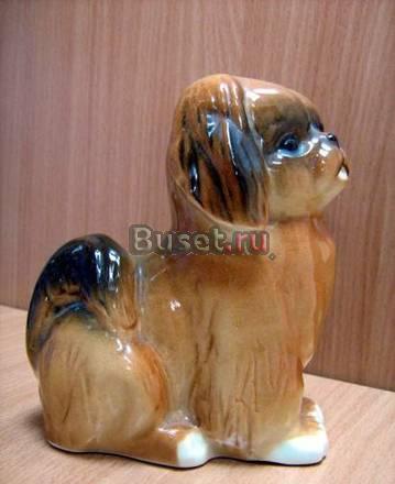 Пекинес ЛФЗ Новосибирск