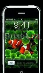 IPhone C900 Москва