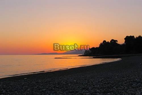 Отдых на берегу моря в Абхазии Сочи