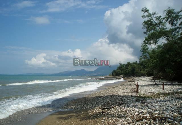 Отдых в Абхазии Сочи