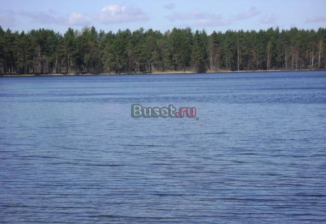 Громово уч-к на первой линии Суходольского оз Санкт-Петербург