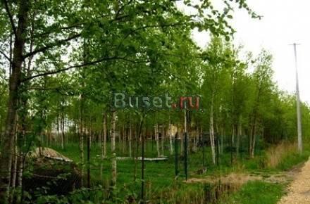 Участок под застройку в Павловске под СПб. Санкт-Петербург