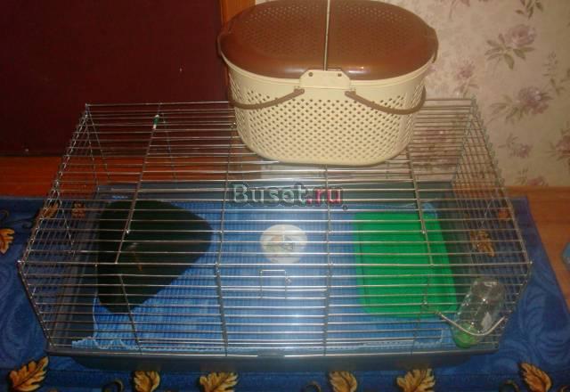 Просторный домик для кролика Москва