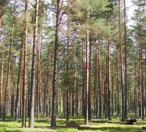 Продам земельный участок 24 сот Павловский Посад