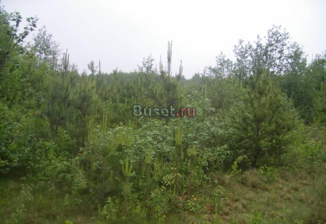 Участок 86 км от МКАД под ижс,10 соток Москва