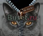 Реставрация и художественная обработка фотографий Москва