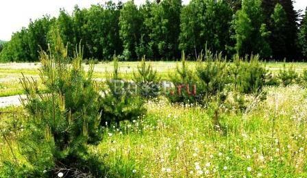 Участок 6-14 сот 10км от МКАД по Егорьевскому ш Москва