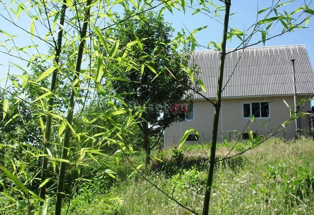 Земля в Сочи с видом на море Сочи