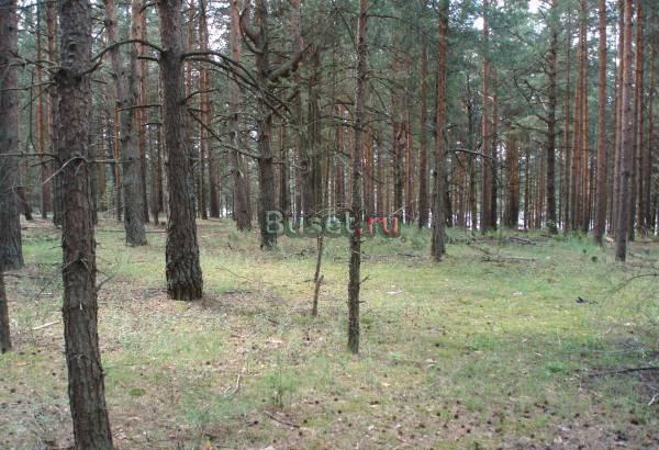 Участок на Оке Москва