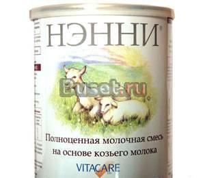 Нэнни Москва