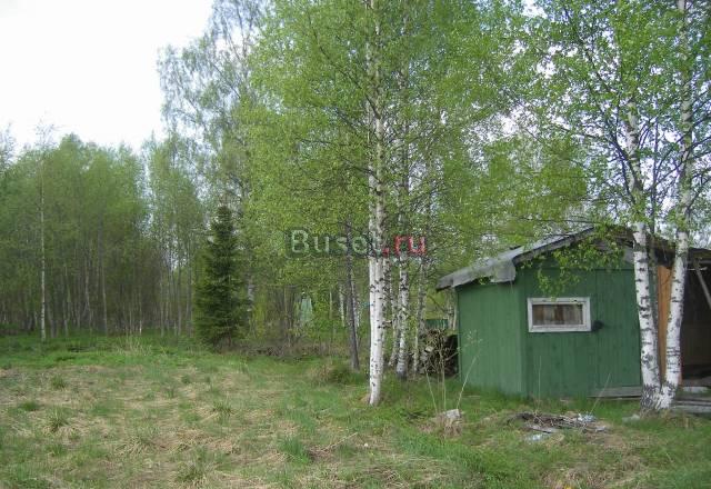 Участок + времянка в 200м от Вуоксы Санкт-Петербург