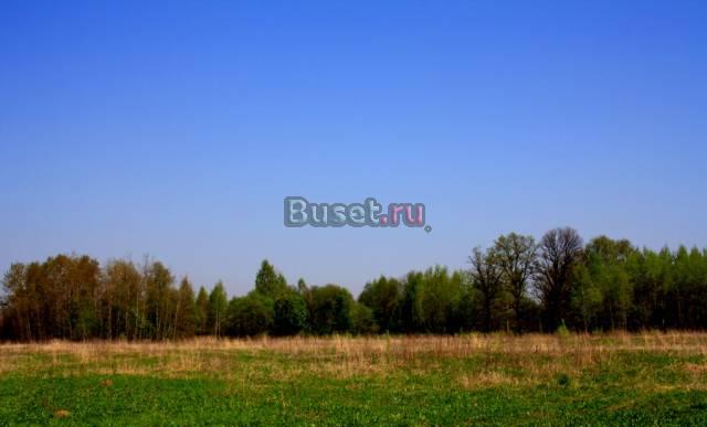 Участок возле леса по Новорижскому шоссе Истра