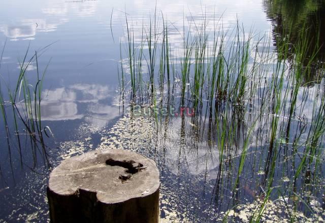 Продается земельный участок Кингисепп