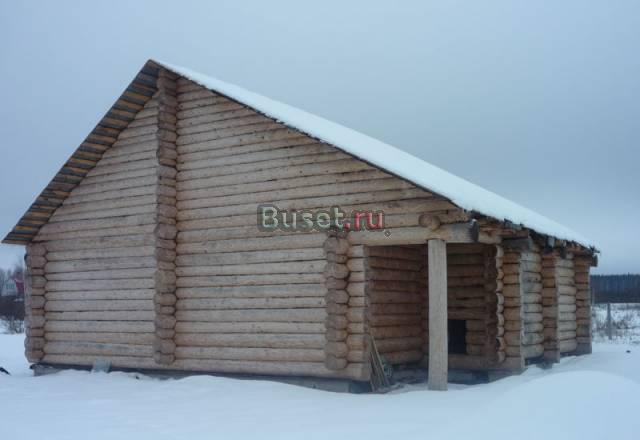 Срубы из северного леса Москва