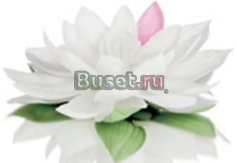 Массаж спины и всего тела, расслабляющая методика Москва