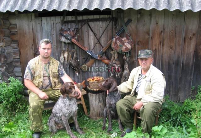 Щенки дратхаара Москва