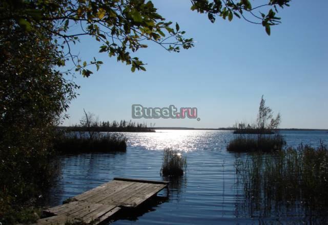 Земельный участок в Ивангороде, 10 соток,озеро,лес Кингисепп