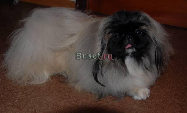 Вязка Москва