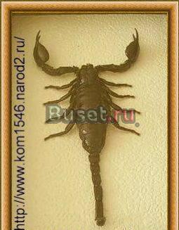 Красота в вашем доме Москва