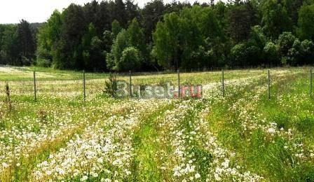 Участок 6-14 сот 10км от МКАД по Егорьевскому ш Москва