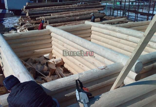 Срубы из зимнего леса на заказ Санкт-Петербург