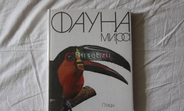 Книга Фауна мира Москва