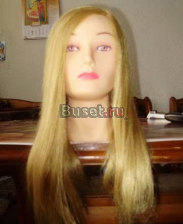 Учебная голова Москва