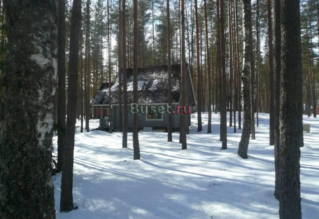 Аренда дома в Ягодном с 1.09.на люб.срок Санкт-Петербург