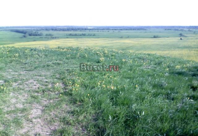 Участок с пропиской Туттари парк Санкт-Петербург
