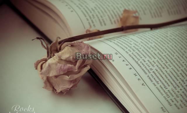 Фотосессия всего 500 рублей Санкт-Петербург