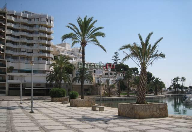 Аренда квартиры в августе на  Пальме де Майорка Москва